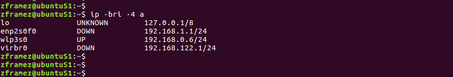 displaying only IPv4 addresses